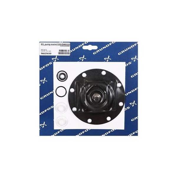 Pump Repair Parts- Kit, pump maint/220/DMX221-115/PVC/E/T, DMX Series.